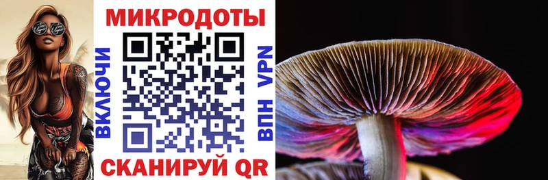 Галлюциногенные грибы Psilocybine cubensis  Горнозаводск 